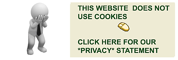 English privacy statement